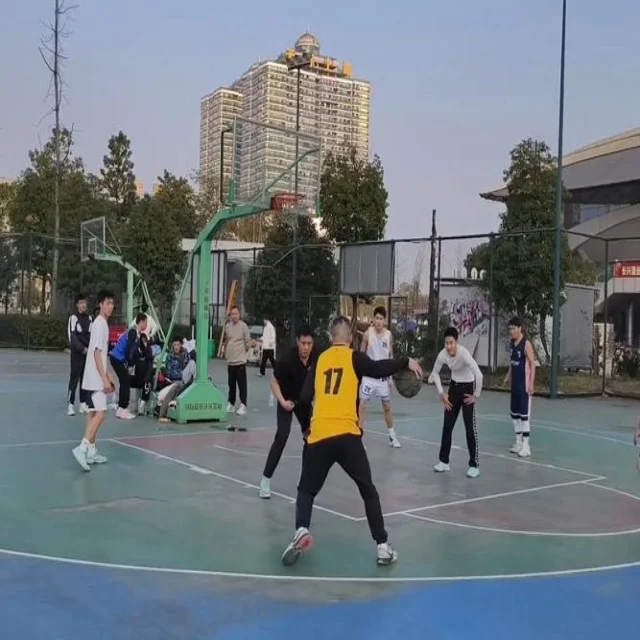 汪顺强势回归为泳坛注入新动力